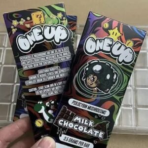 Mushroom chocolate bars